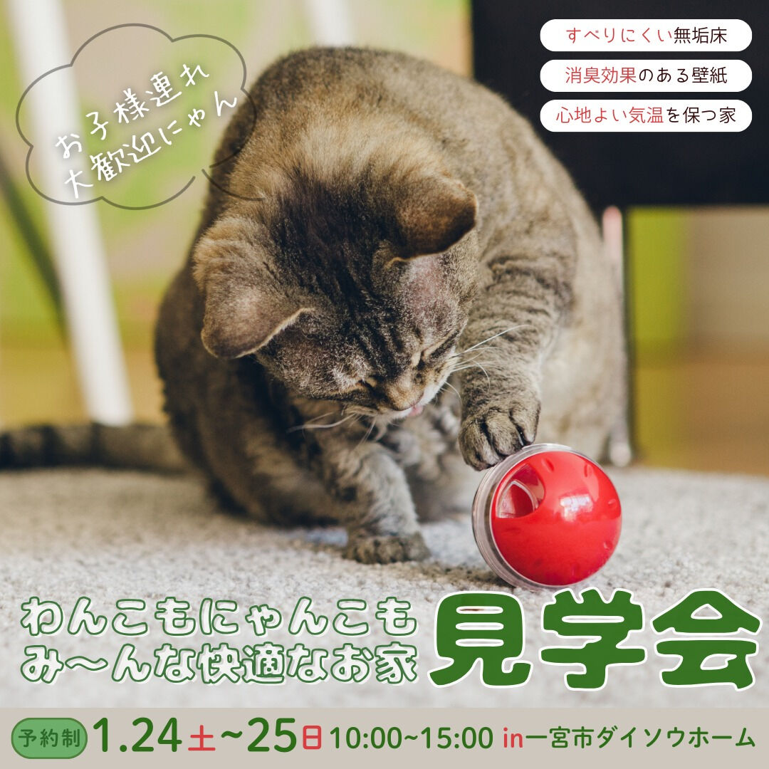 【一宮市　工務店】わんこもにゃんこもみんな快適なお家見学会